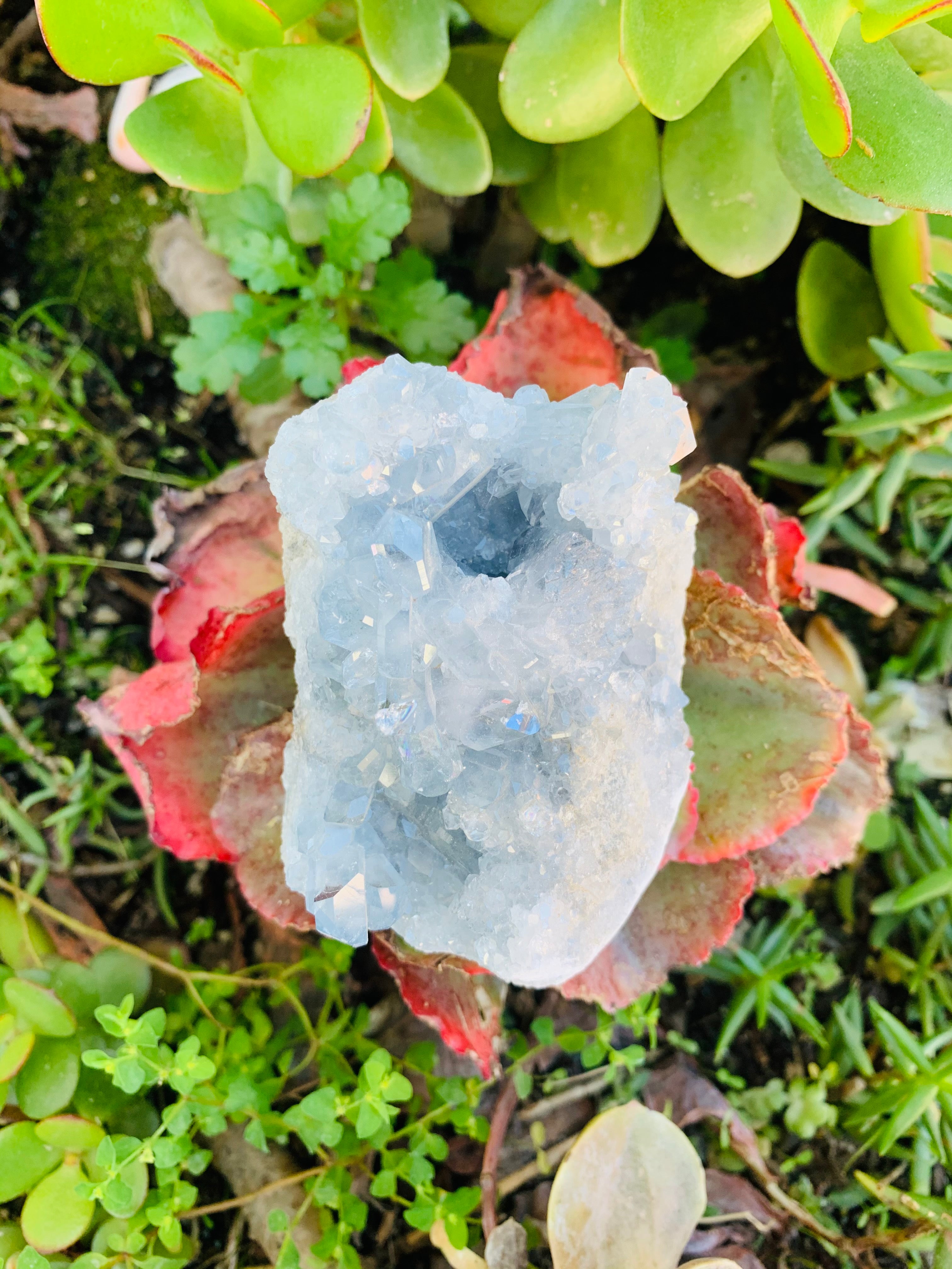 Celestite