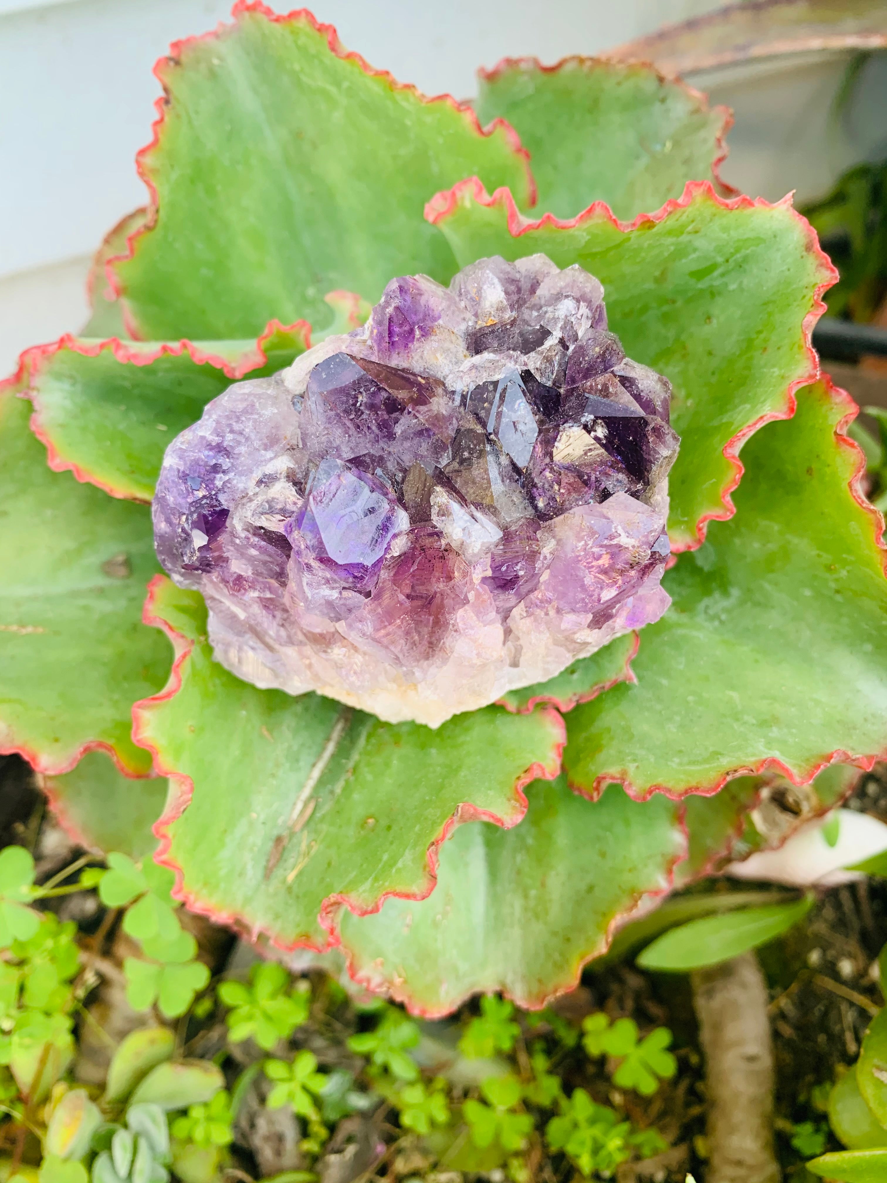 Avalon Amethyst