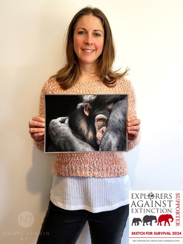 Wildlife artist Naomi Jenkin with her chimpanzee drawing "Embrace" drawn for Sketch For Survival 2024.