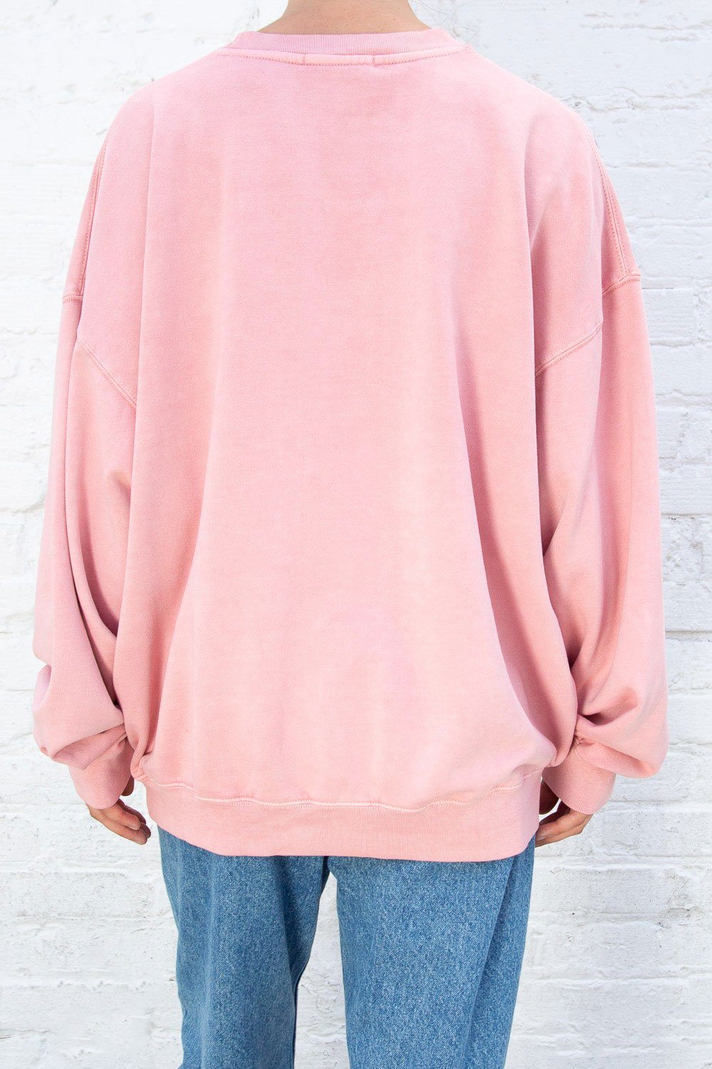 Erica Oversized Sweatshirt – Brandy Melville