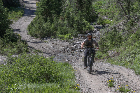 Man Riding a Backou eBike on a Lush, Mountainous Trail