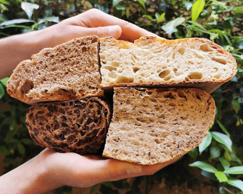 pane Tondo Silvia 