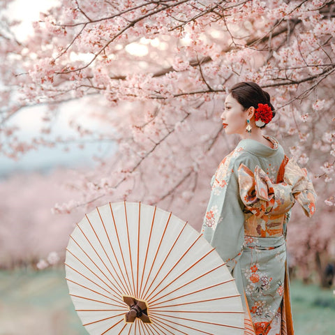 桜×着物美人×春の着物コーデ