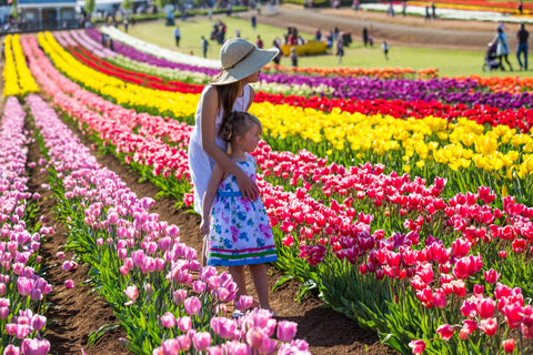 Mother and daughter in field of tulips