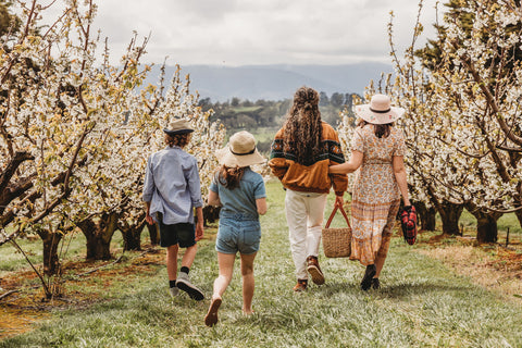 Family walking in cherry blossoms to have a picnic box