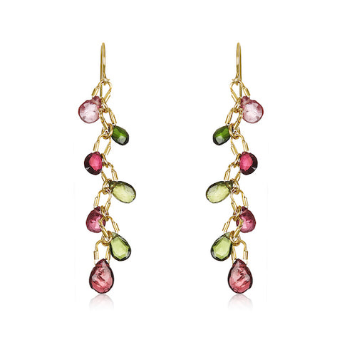 strawberry kiwi earrings