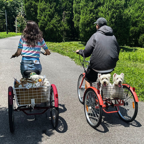 electric tricycle with dog