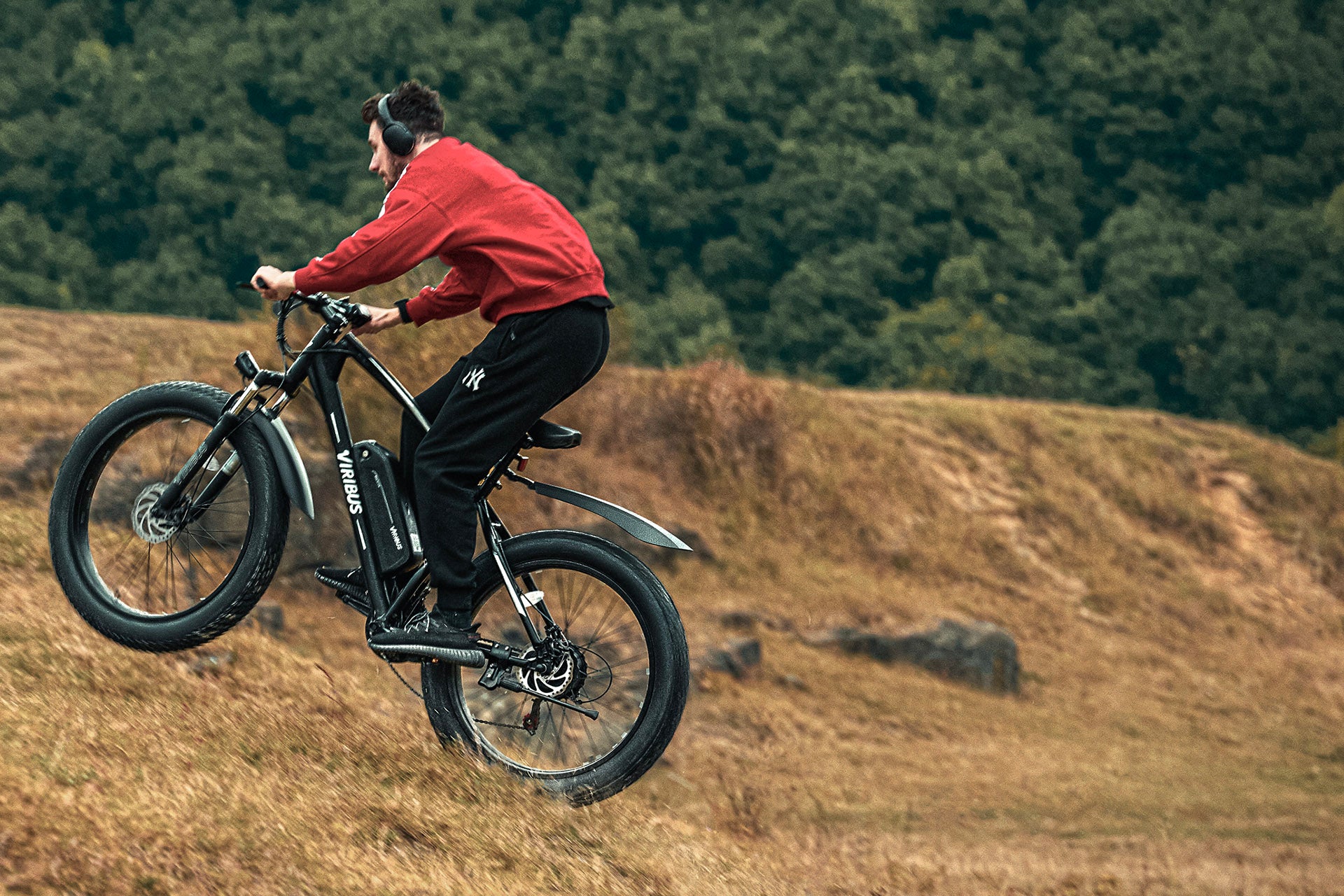 Viribus Panther Electric Mountain Bike