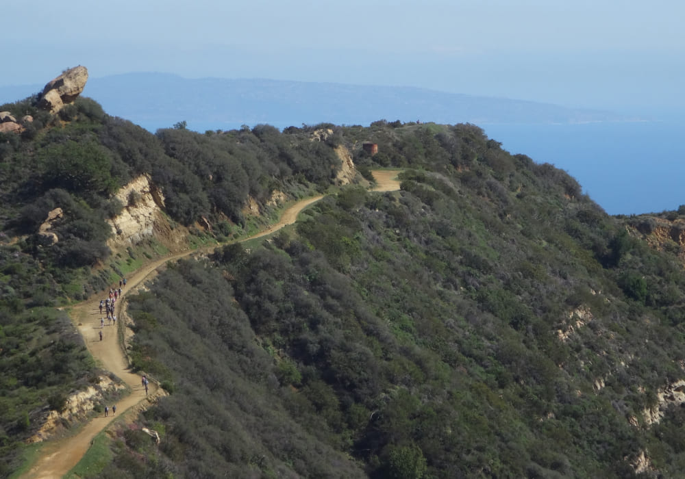 backbone mountain biking path