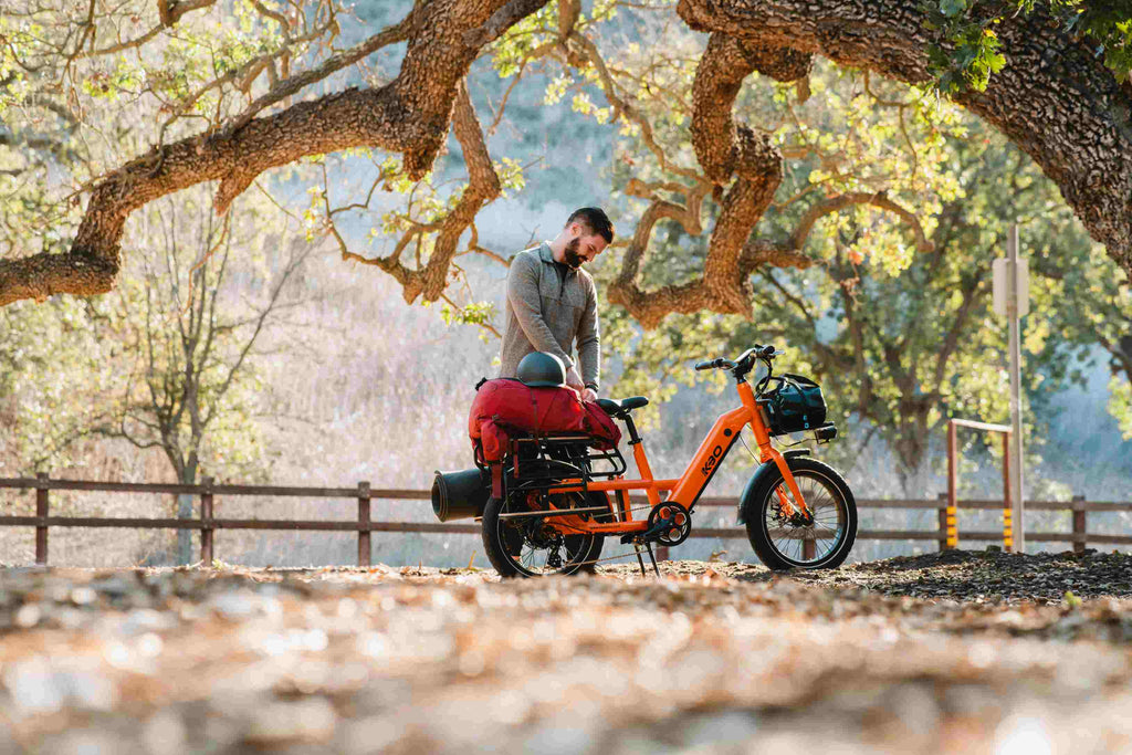 Electric Cargo bike KBO Ranger