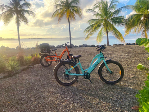 oasis cruiser beach riding time