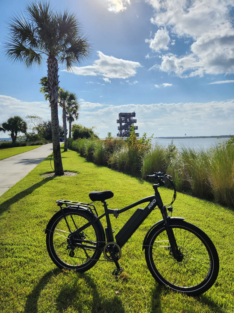 breeze ebike black commuting ebike