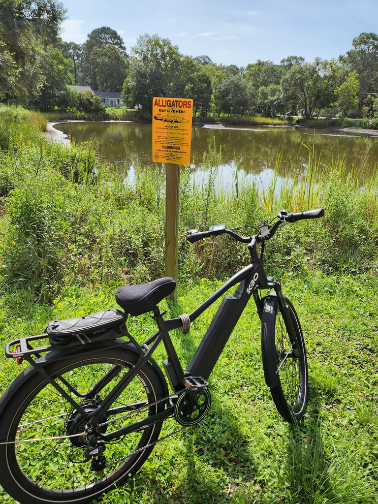 all terrain mountain ebike