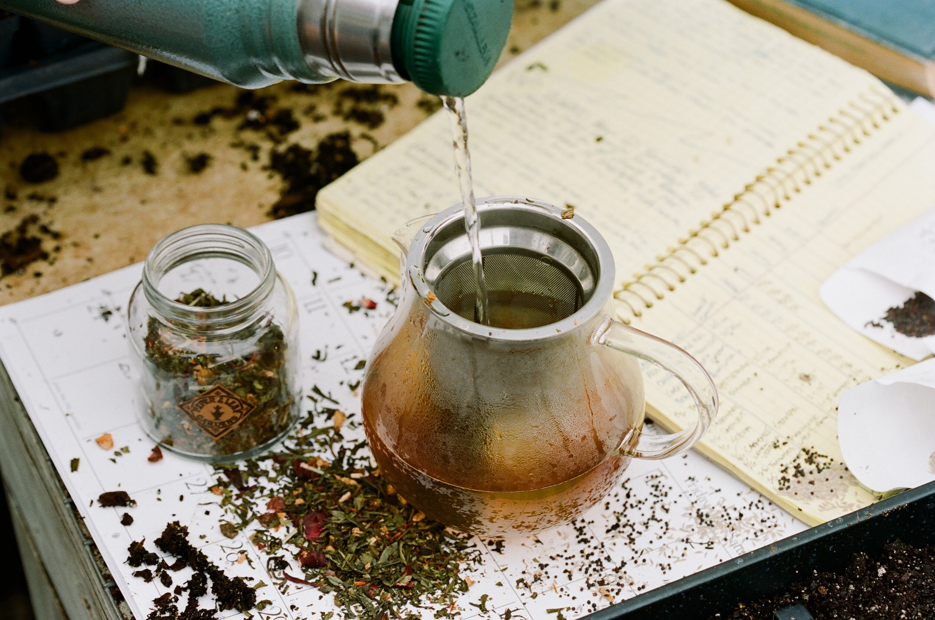 Hot water pouring into a pot of Piper and Leaf's green tea, Sassyfras Strawberry. Surrounded by dried tea leaves as Piper and Leaf fans brew, sip, and discover each unique blend.