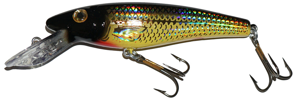 B&N Custom 4.5 Rippin Shad Crankbait – Musky Shop