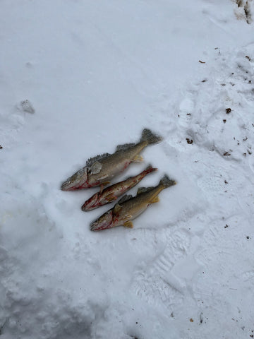 Fishing Report: Fish 'hammered' beneath ice on shallow Lake Arthur bays