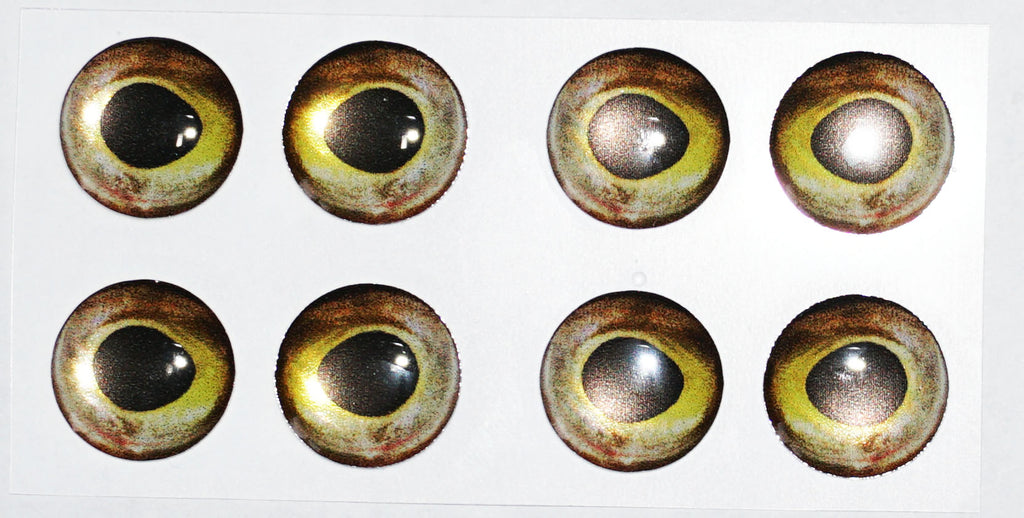 Stainless Steel Screw Eyes – Musky Shop