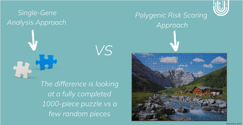 The PRS Puzzle analogy