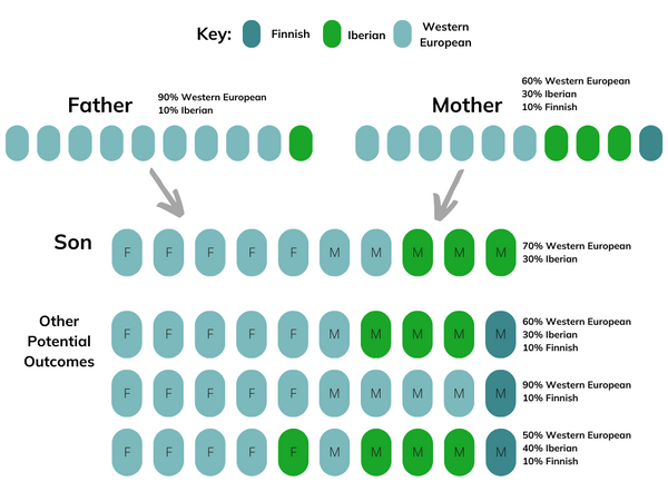 Arbitrary simulation of DNA inheritance in terms of ancestry populations