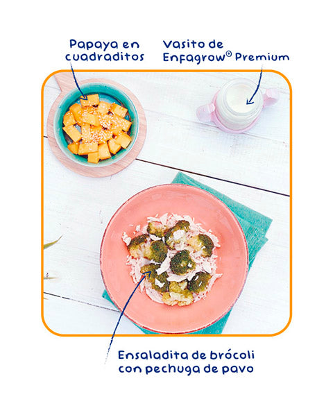 Ensalada de brócoli con pechuga de pavo + papaya con kiwicha y vasito de Enfagrow®Premium.