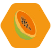 Papaya en cuadraditos