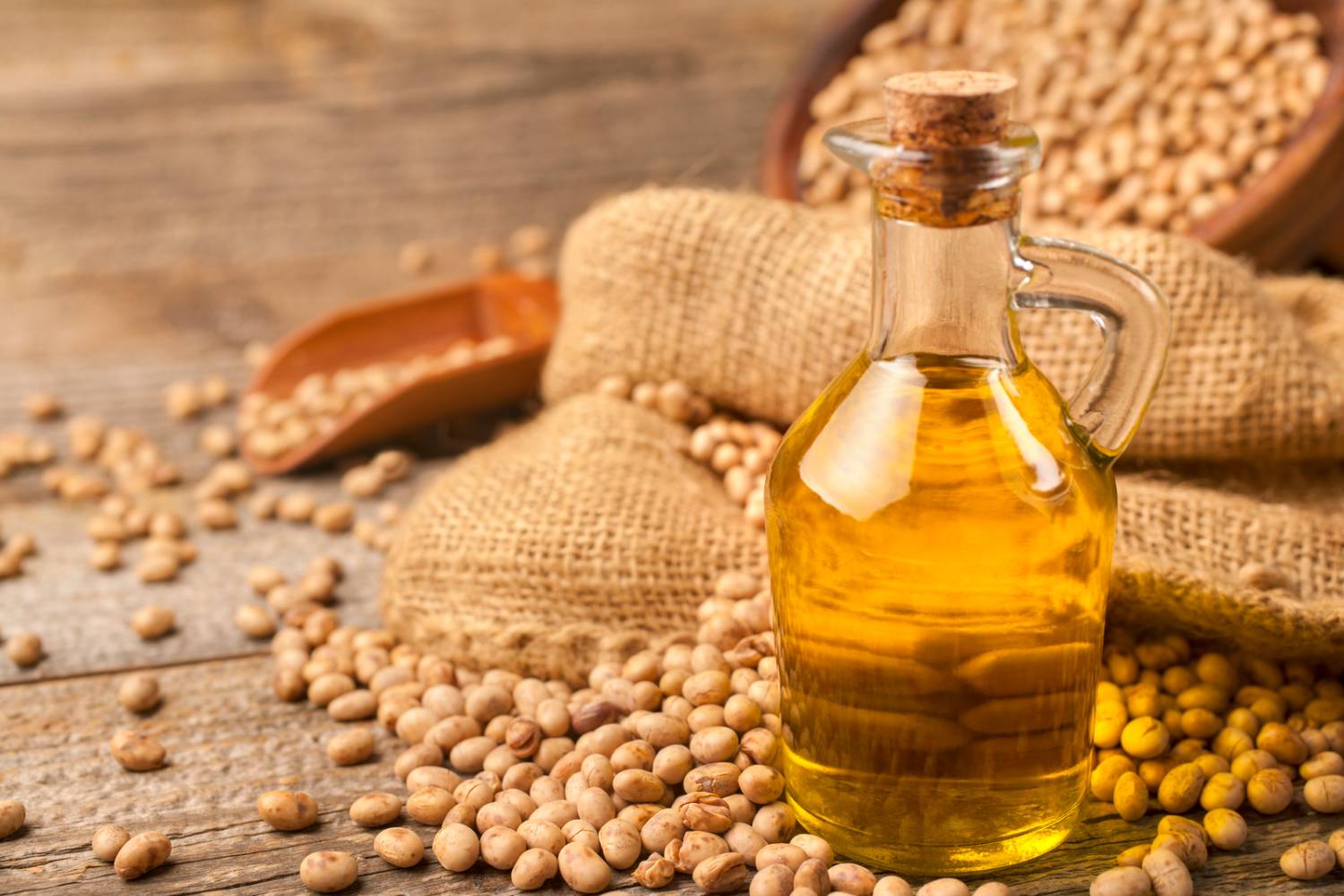 The Benefits of Soybean Oil for Hair Growth and Health  Vihadoin