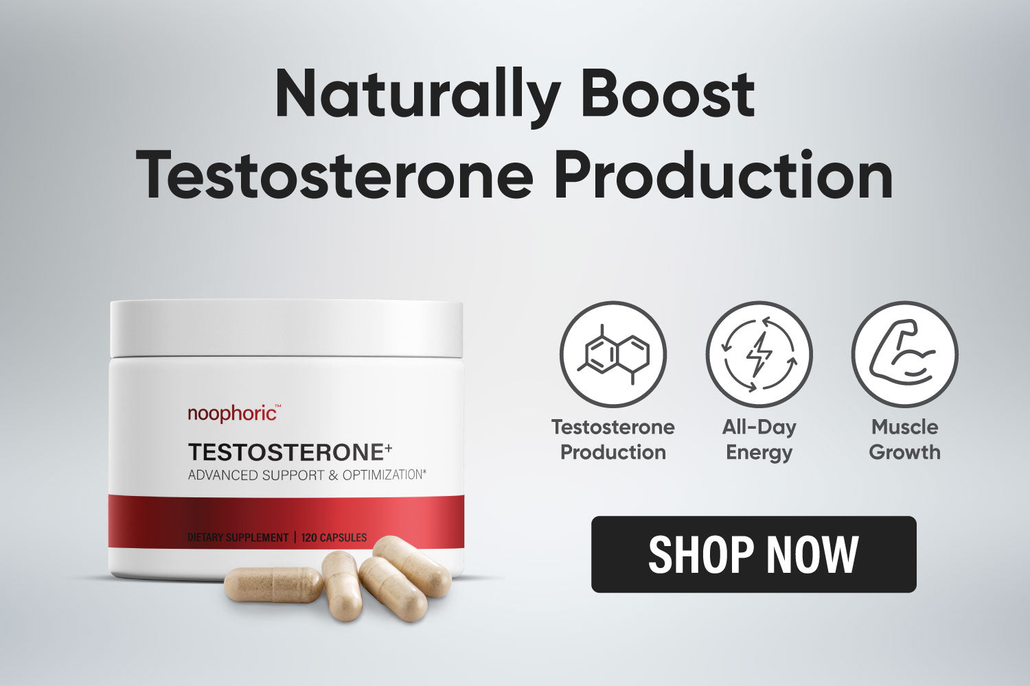 noophoric testosterone booster supplement natural