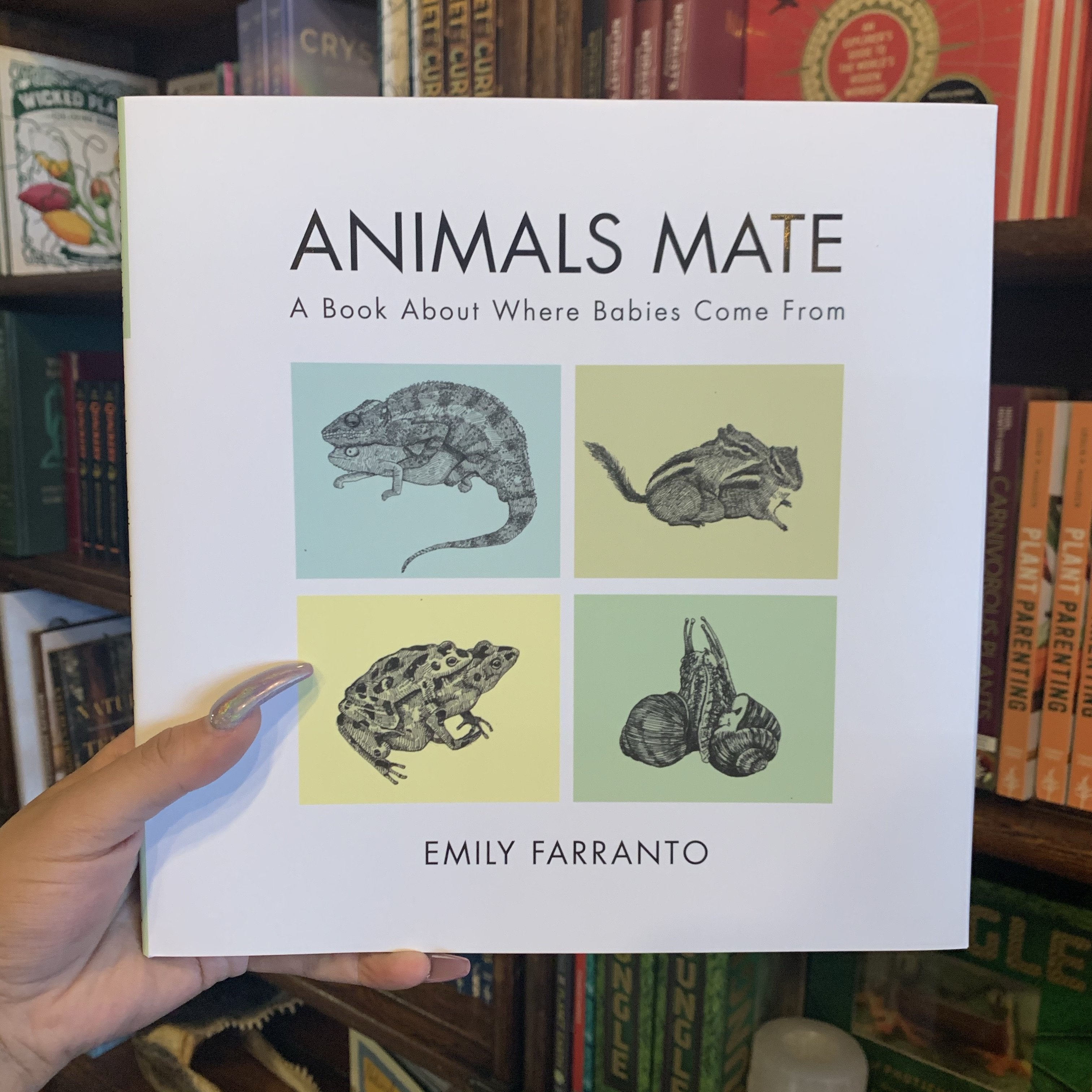 Download Animals Mate: A Book About Where Babies Come From By Emily Farranto | Curious Nature