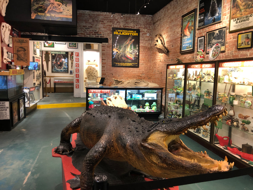 Great American Alligator Museum