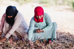 Vrouwelijke coöperatief Marokko 