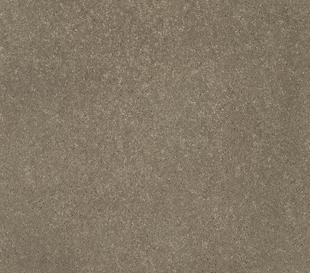 Cheerful Spirit Frost RiteRug First | Flooring