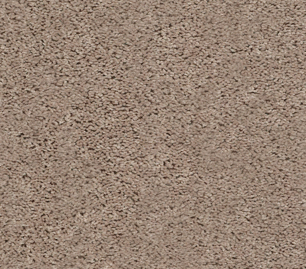 Venture Solid - Soft Taupe, carpets, PZ055-00501