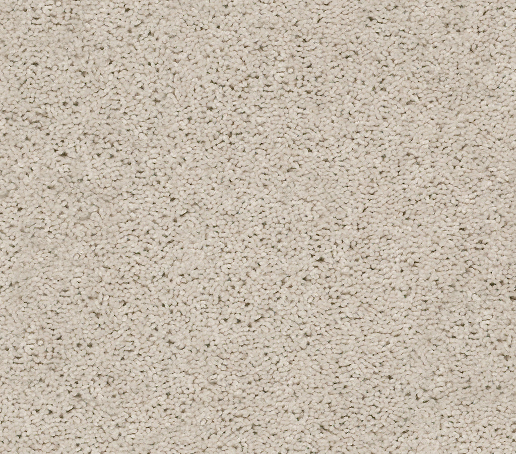 Venture Solid - Soft Taupe, carpets, PZ055-00501