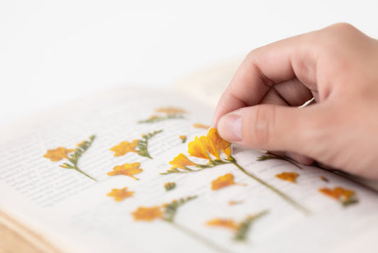 Appree Pressed Flower Stickers Salvia – Omoi Life Goods