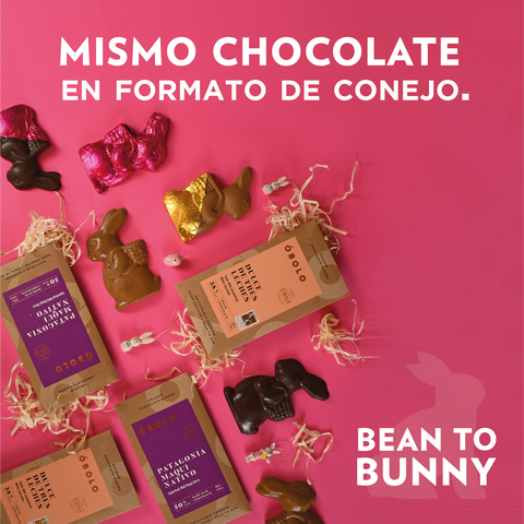 Conejitos de chocolate