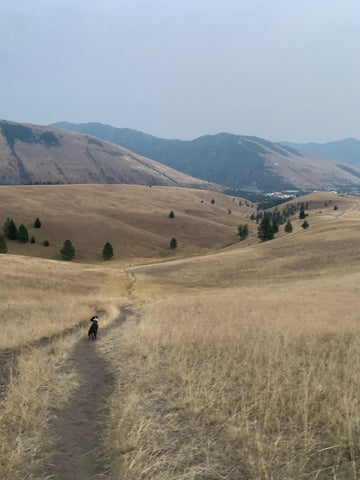 Caterpy Explores Cherry Gulch