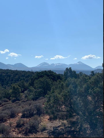 View of the La Sal Mountains from the Porcupine Rim Trail in Moab, UT