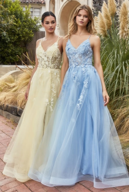 princess evening gown