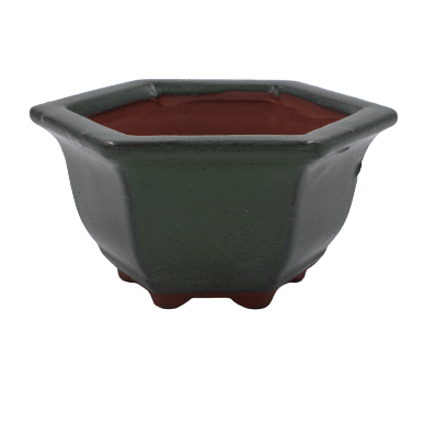 Hexagonal Bonsai Pot | 2.125" Chinese Glazed Ceramic Pot