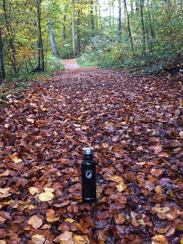 ECOtanka Edelstahlflasche im Wald