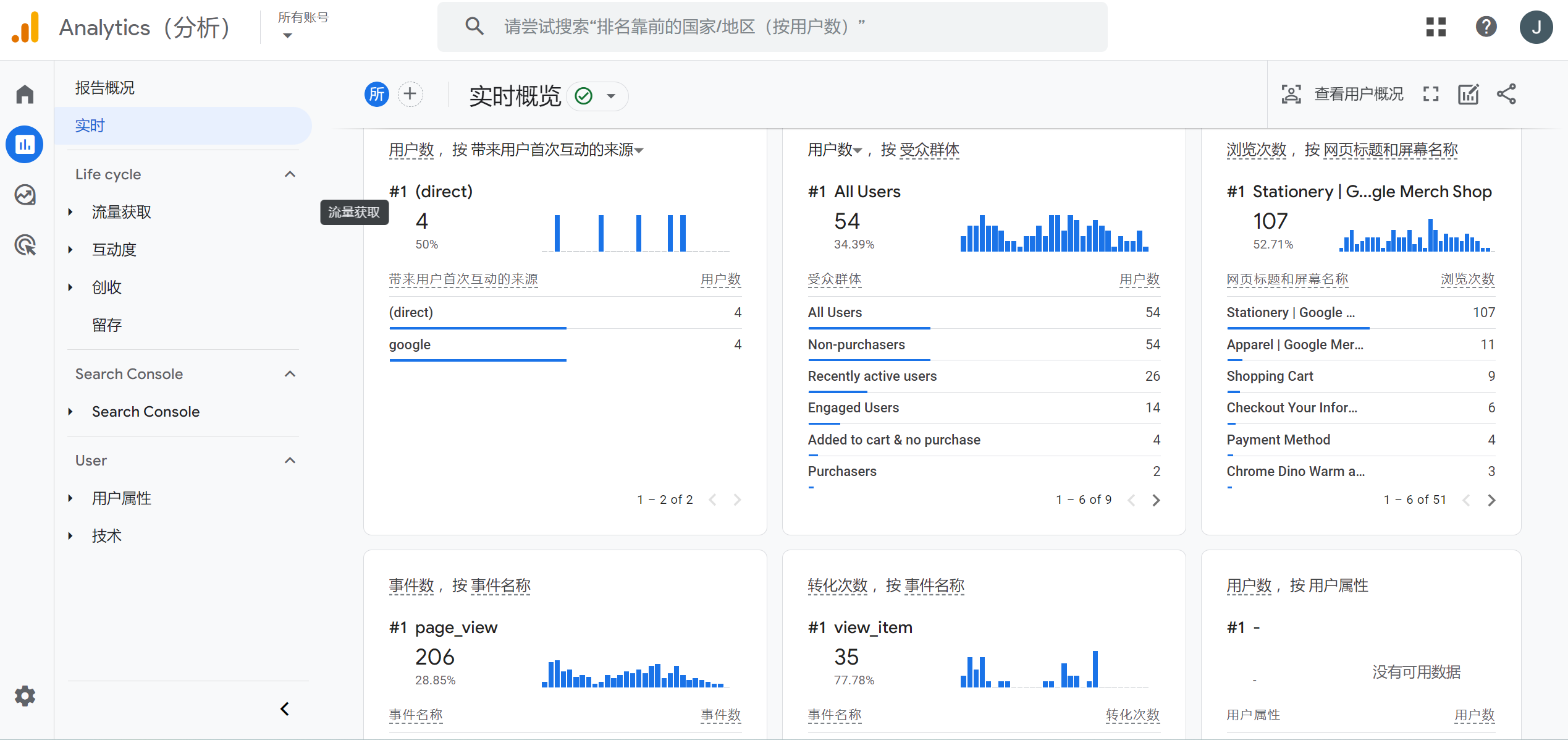 谷歌实时分析数据概览