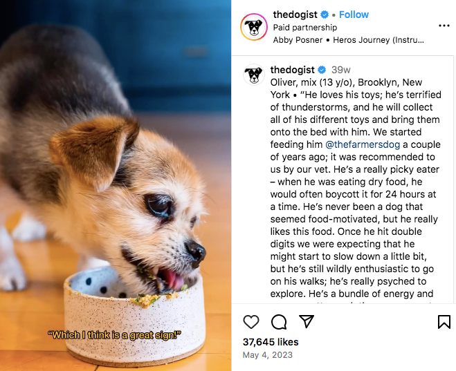 The Dogist的Instagram帖子：一只狗在吃东西