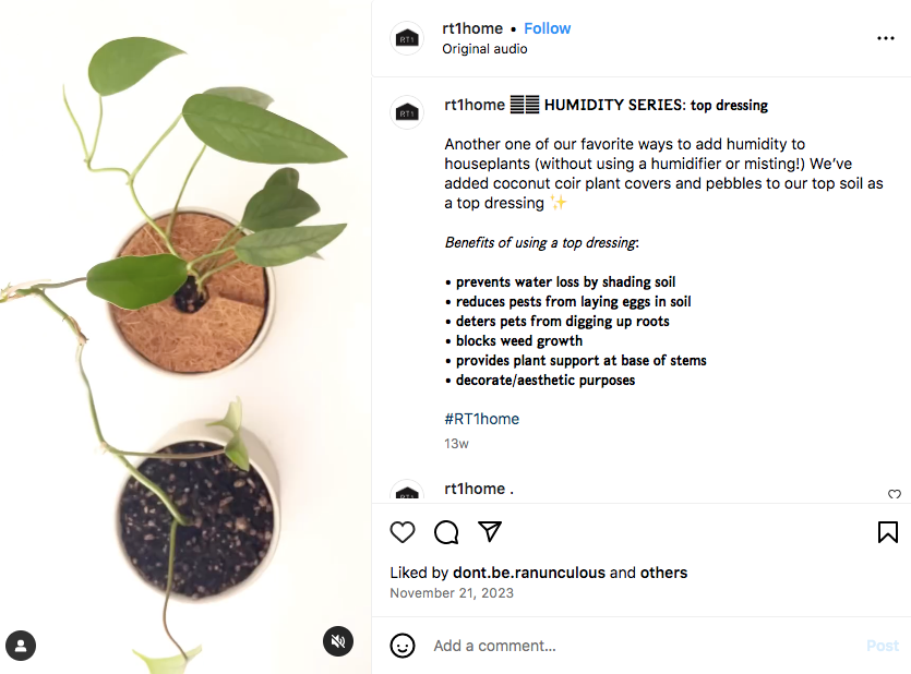 RT1Home的Instagram帖子：两盆桌上的绿植