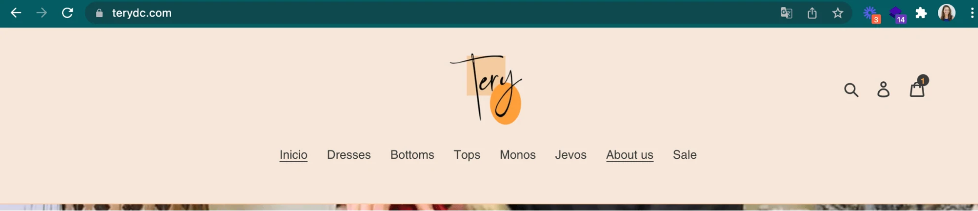 时装设计师用 terydc.com作为网站域名