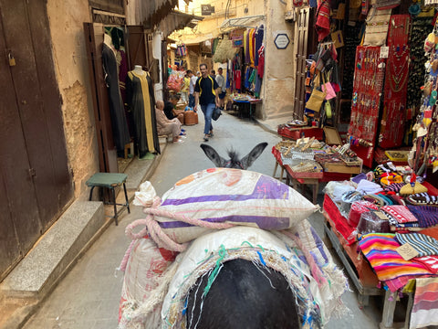 ic: Ally in Fes, Morocco