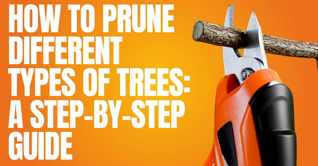 How to Prune Different Types of Trees: A Step-by-Step Guide