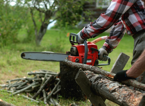 Handheld Chainsaw for Cutting Firewood