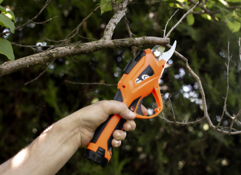 electric pruner