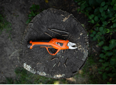 Electric Pruners for Winter Pruning