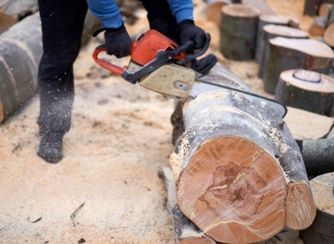 Gas Powered Chainsaw